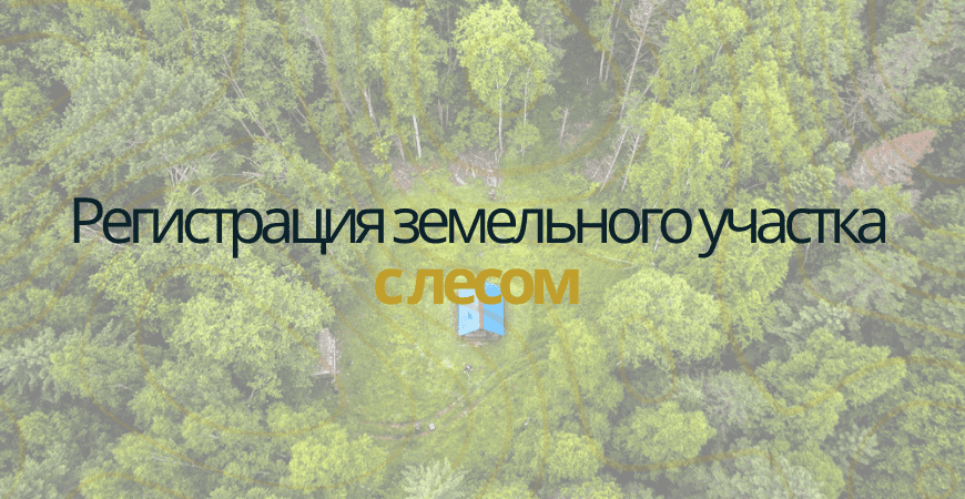 Земельный участок с лесом в Павловске